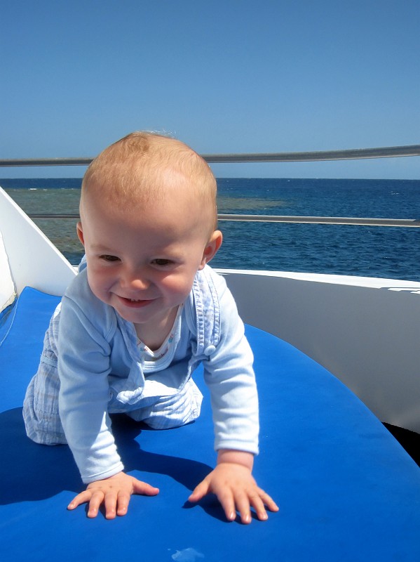 2009-11-06 22-02-04_1.jpg - der kleine Hai...